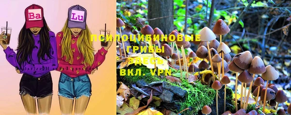 шишки Бородино