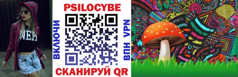 Псилоцибиновые грибы ЛСД  цена   Луза 