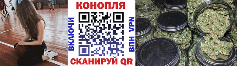 Бошки Шишки Amnesia  закладка  Луза 